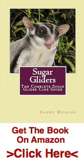 Sugar Glider Book