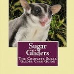 Sugar Glider Book – Advice From Experienced Sugar Glider Owners