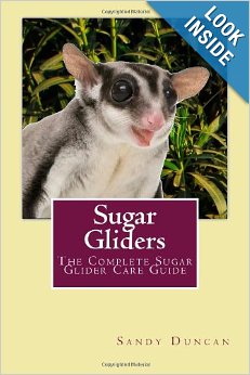 Sugar Glider Book